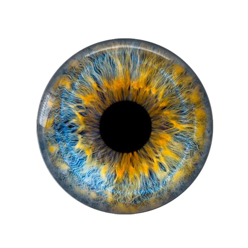 5 Pairs/lot 14mm Eyes Chips Suitable for Bly the Doll Super Thin Pupil Glass Cabochons DIY Accessories Bulk Items