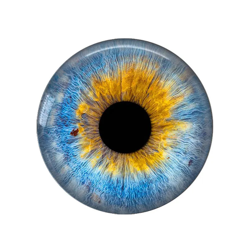 5 Pairs/lot 14mm Eyes Chips Suitable for Bly the Doll Super Thin Pupil Glass Cabochons DIY Accessories Bulk Items