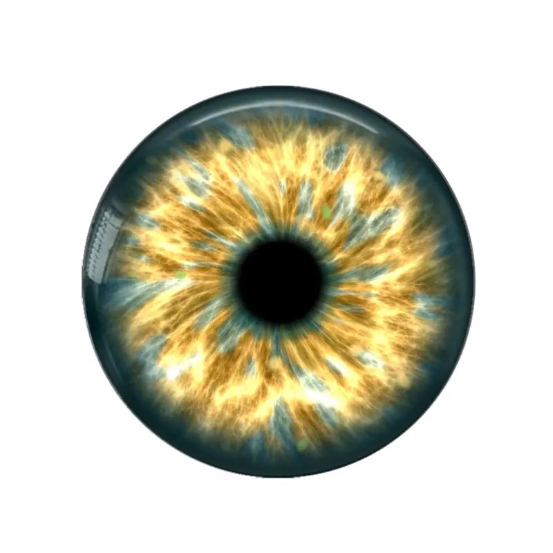 5 Pairs/lot 14mm Eyes Chips Suitable for Bly the Doll Super Thin Pupil Glass Cabochons DIY Accessories Bulk Items