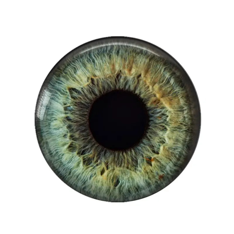 5 Pairs/lot 14mm Eyes Chips Suitable for Bly the Doll Super Thin Pupil Glass Cabochons DIY Accessories Bulk Items