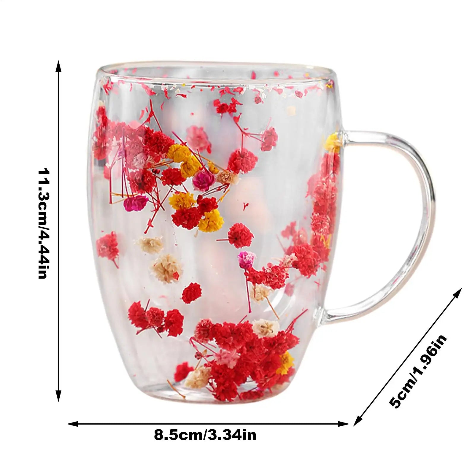 350ml Double Wall Glass Cup Dry Flowers Insulated Flowers Espresso Cup Coffee Mugs Duals Layered Glass Cups Dried Flowers