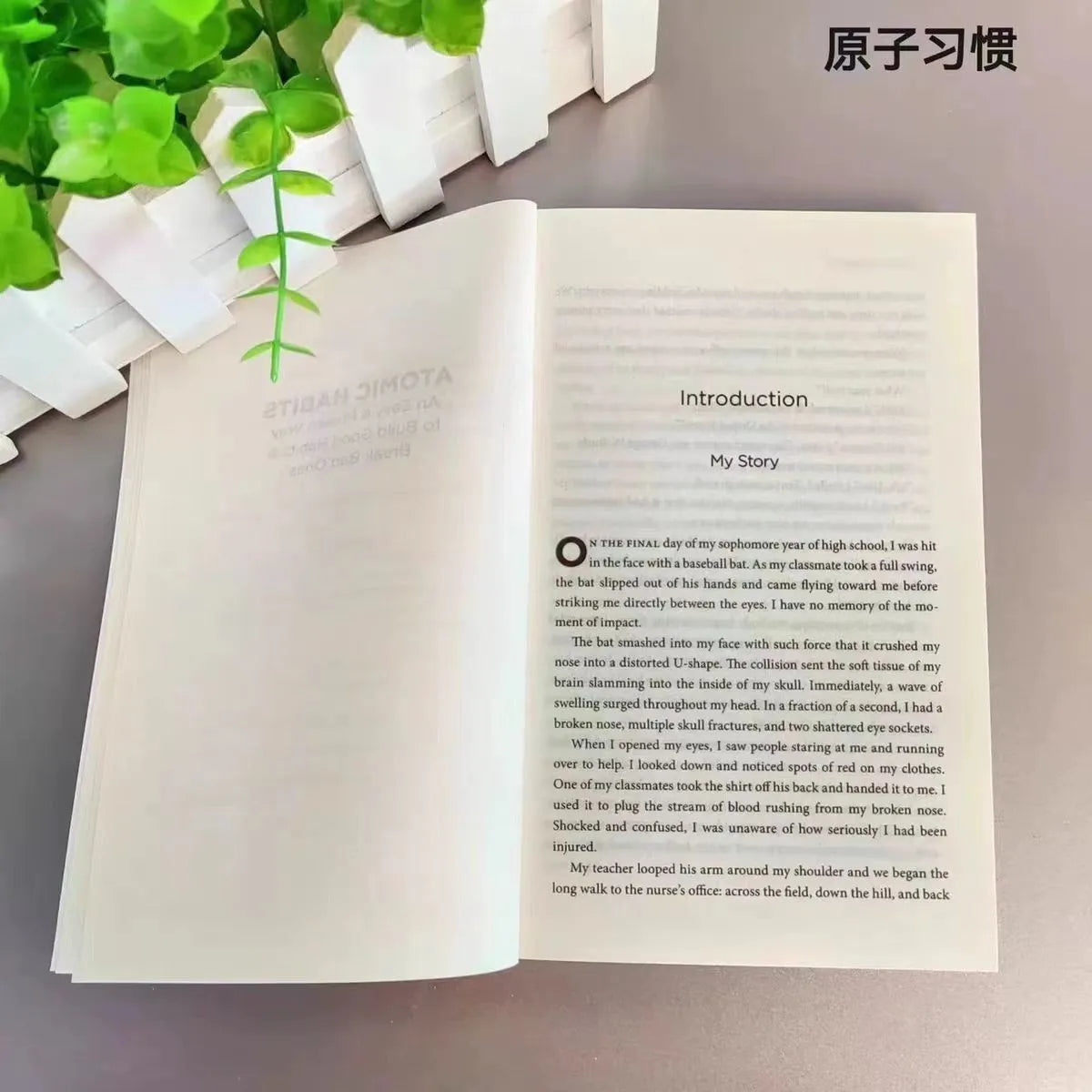 Atomic Habits: A Simple Method To Establish Good Habits and BreakBadHabitslibri développement personnel adultes psychology books