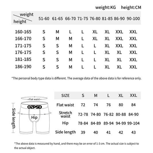 ETHIKA 1Pcs Men Underwear Sexy Boxershorts Breathable Mens Trunks Plus Size S-3XL Man Swimming Underpants Men's Panties Boxers