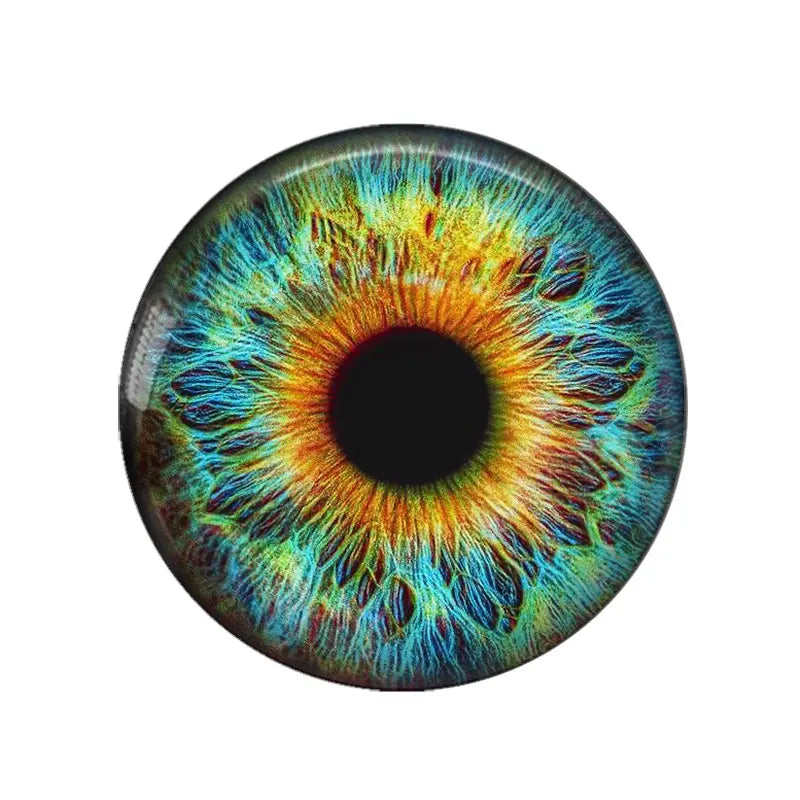5 Pairs/lot 14mm Eyes Chips Suitable for Bly the Doll Super Thin Pupil Glass Cabochons DIY Accessories Bulk Items