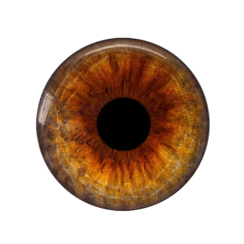 5 Pairs/lot 14mm Eyes Chips Suitable for Bly the Doll Super Thin Pupil Glass Cabochons DIY Accessories Bulk Items
