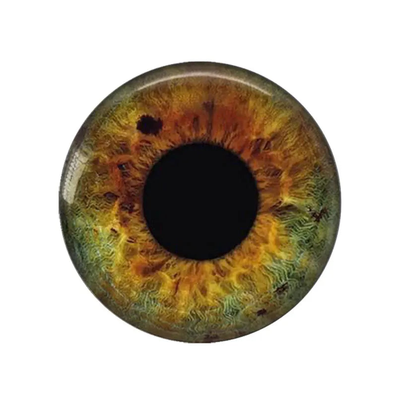 5 Pairs/lot 14mm Eyes Chips Suitable for Bly the Doll Super Thin Pupil Glass Cabochons DIY Accessories Bulk Items