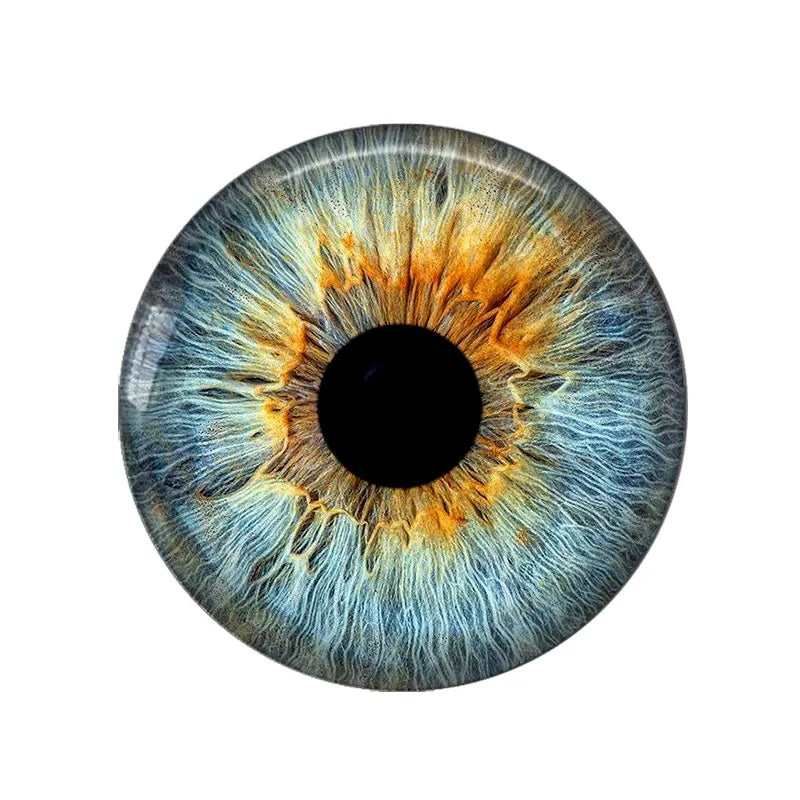 5 Pairs/lot 14mm Eyes Chips Suitable for Bly the Doll Super Thin Pupil Glass Cabochons DIY Accessories Bulk Items