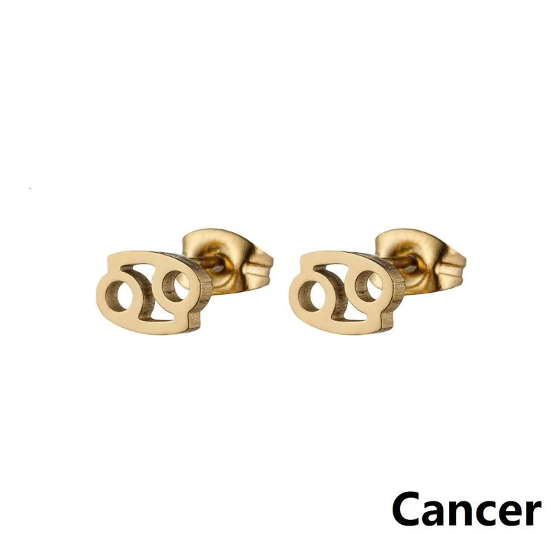 Stainless Steel 12 Constellation Earrings for Women Zodiac Sign Symbol Ear Studs Astrology Jewelry Girls Birthday Gift Accessory