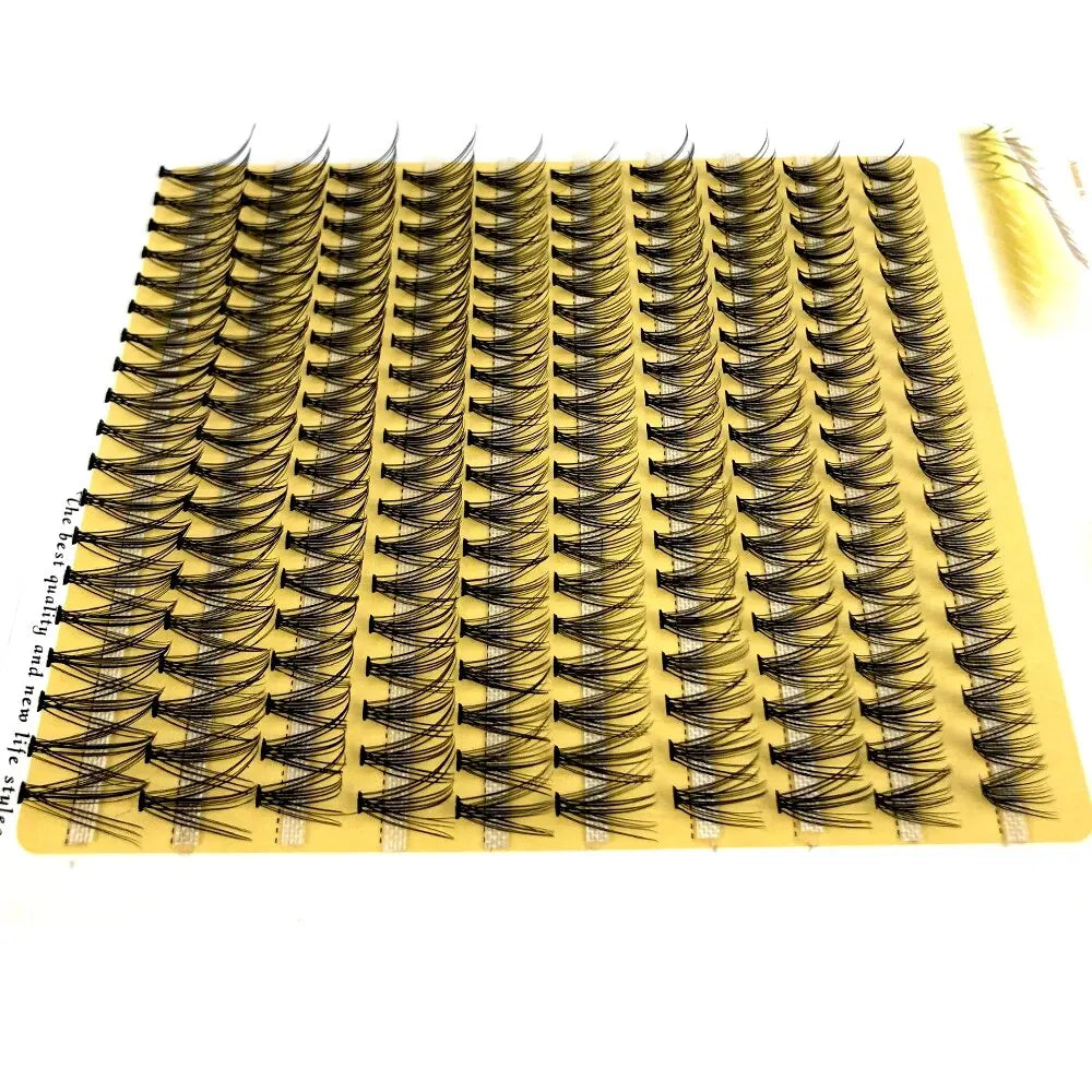 200 Clusters 10D 20D 30D 40D 60D 80D Mixed Tray Individual Lashes 3D Russia Premade Volume Lashes Soft Natural Lashes Mink Lash